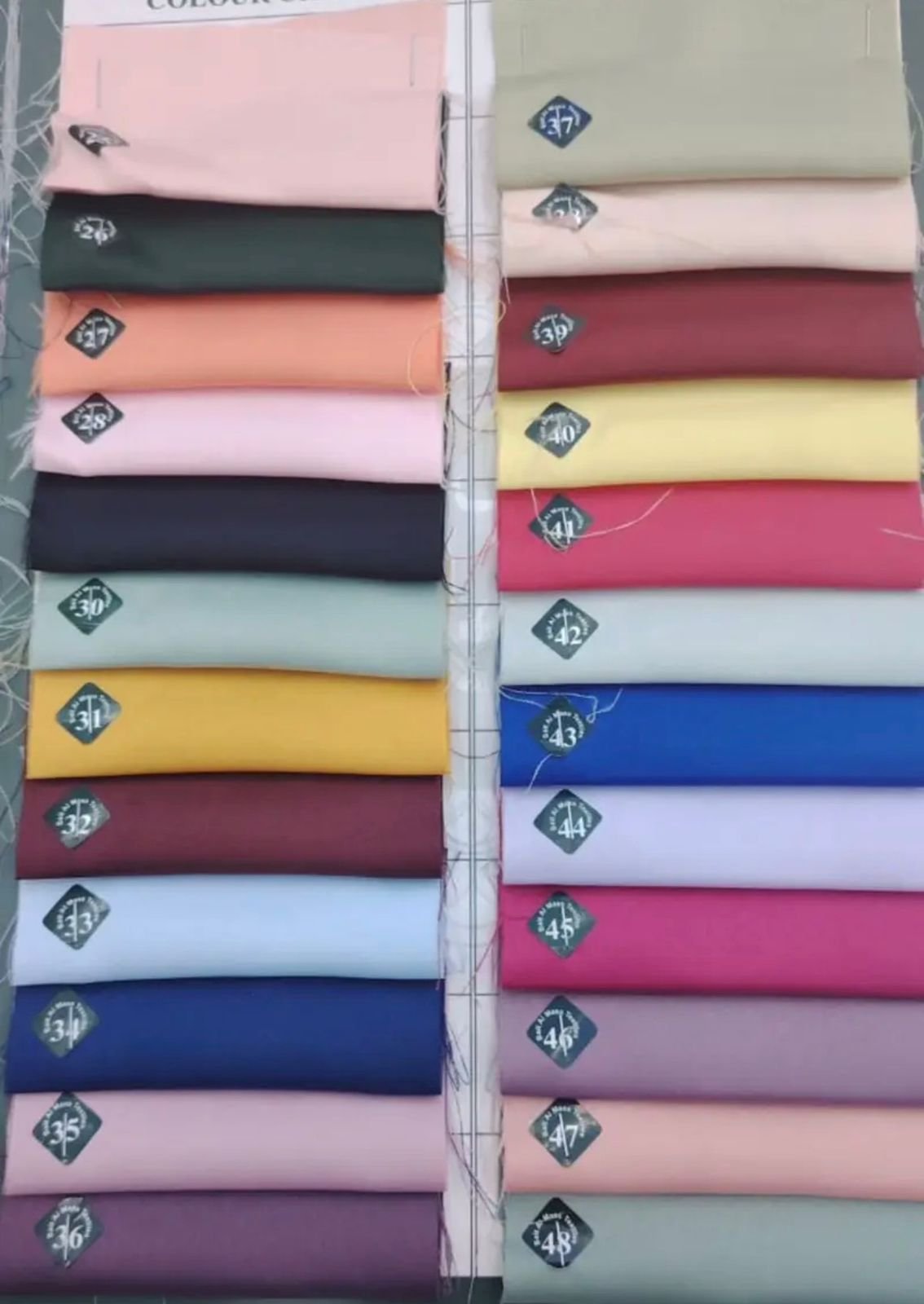 WhatsApp Image 2025-12-08 at 12.55.17 PM